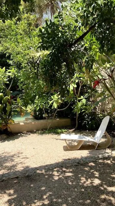 Hermosa Casa Antigua Con Piscina Tropical Merida