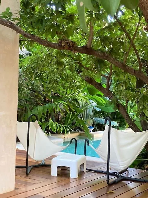 Hermosa Casa Antigua Con Piscina Tropical Merida Holiday home