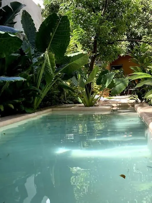 Hermosa Casa Antigua Con Piscina Tropical Merida