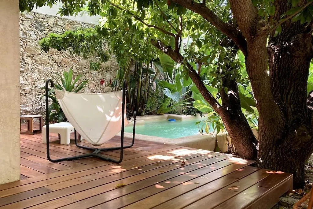 Hermosa Casa Antigua Con Piscina Tropical Merida