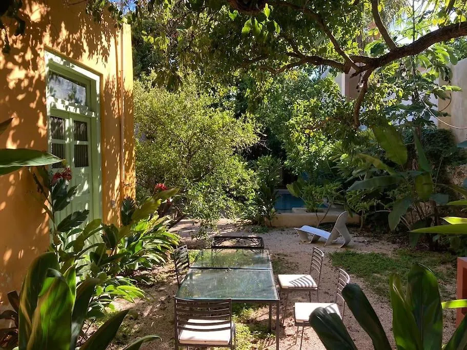 Hermosa Casa Antigua Con Piscina Tropical Merida Mexico