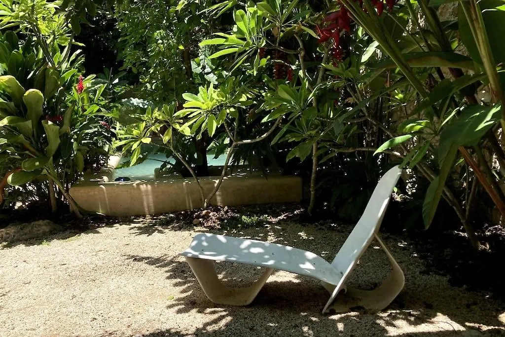 Hermosa Casa Antigua Con Piscina Tropical Merida Holiday home