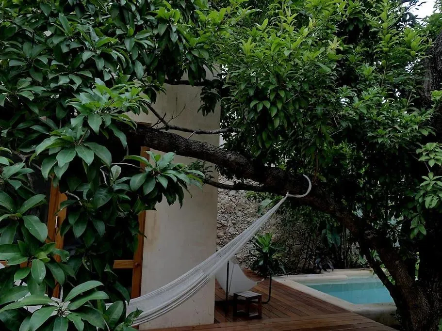 Hermosa Casa Antigua Con Piscina Tropical Merida 0*,  Mexico