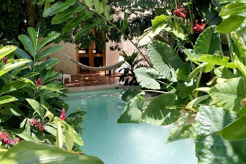 Hermosa Casa Antigua Con Piscina Tropical Merida