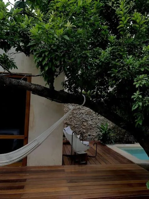 Holiday home Hermosa Casa Antigua Con Piscina Tropical Merida Mexico